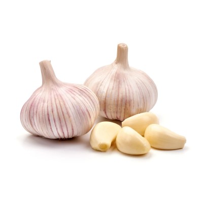 Чеснок крупный 1 кг - купить в Новоиликово