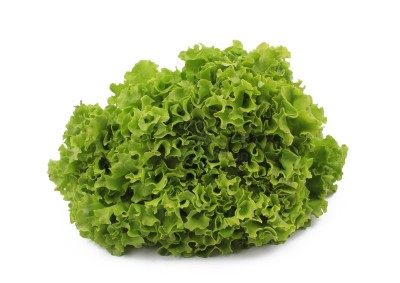 Салат романо 1 кг - купить в Новоиликово